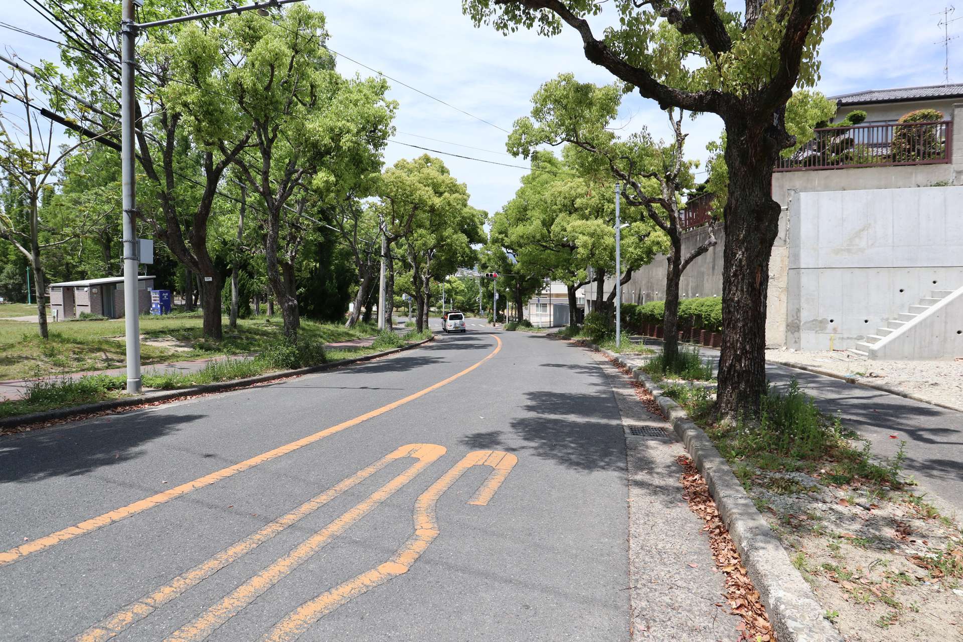 街中でも緑を感じることができます。