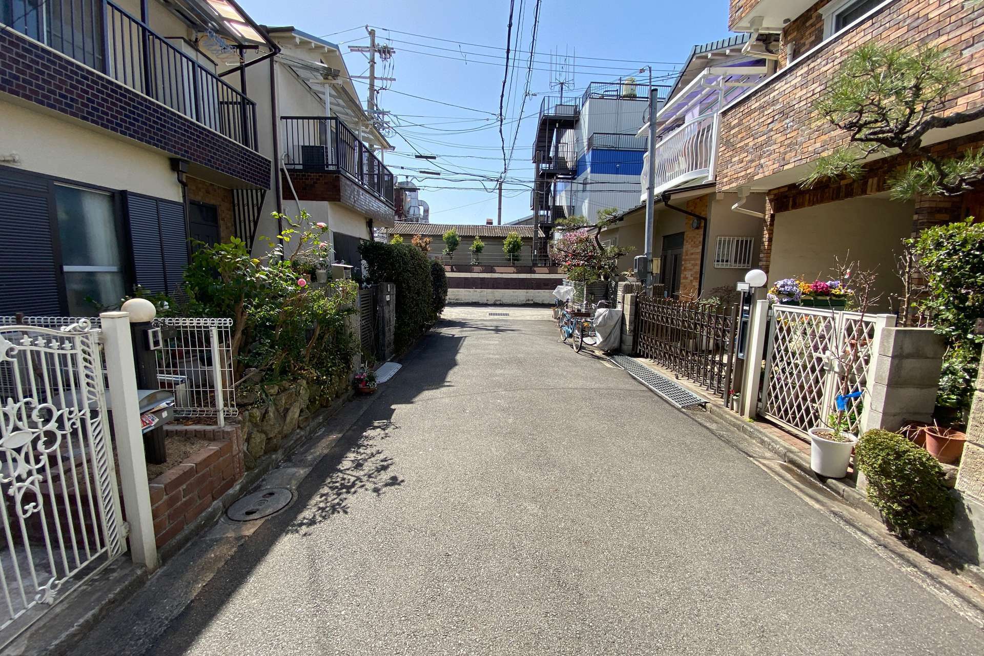 このエリアは緑豊かな家屋が多いです。