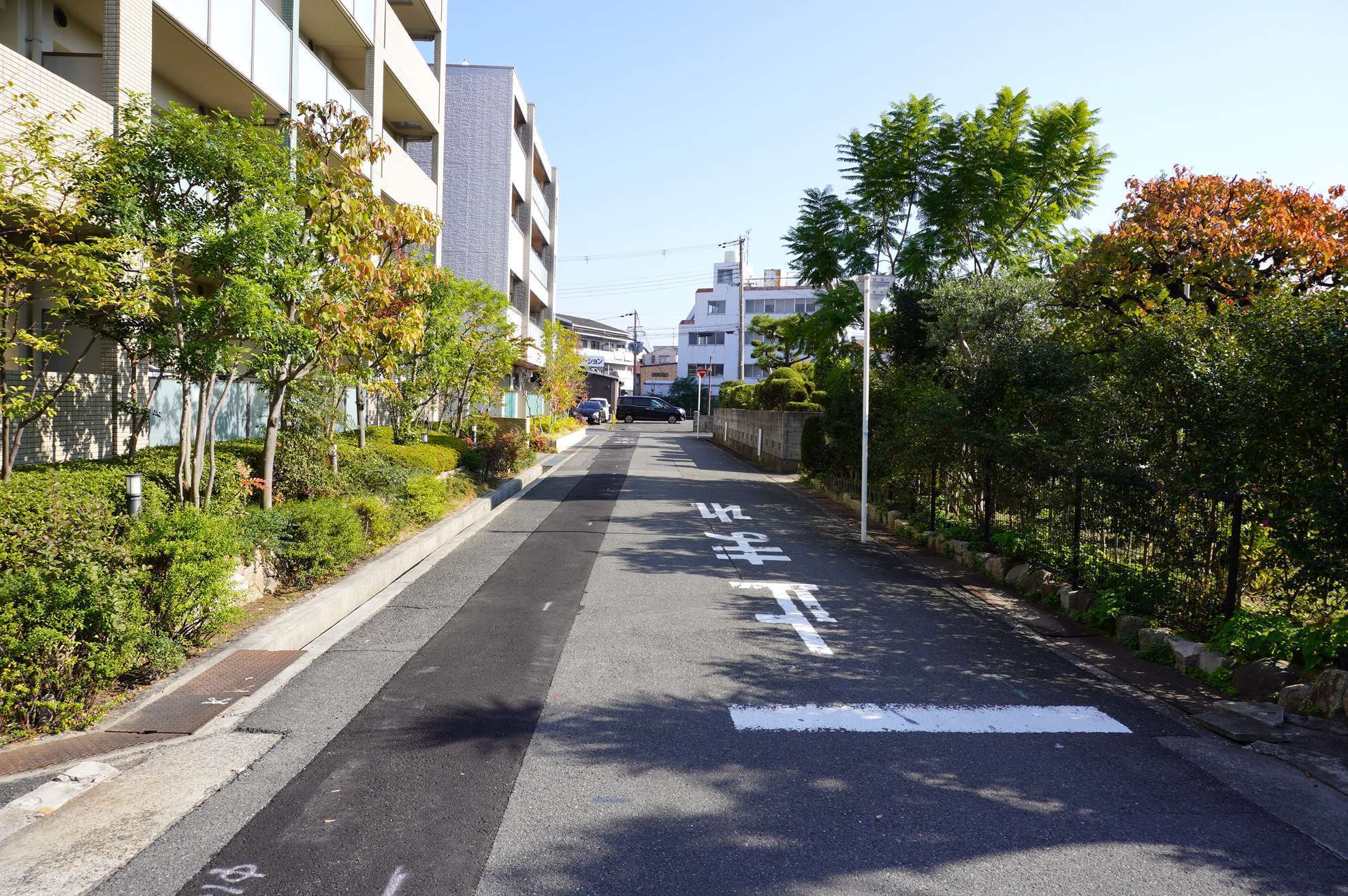 町中でも緑を感じる住環境。