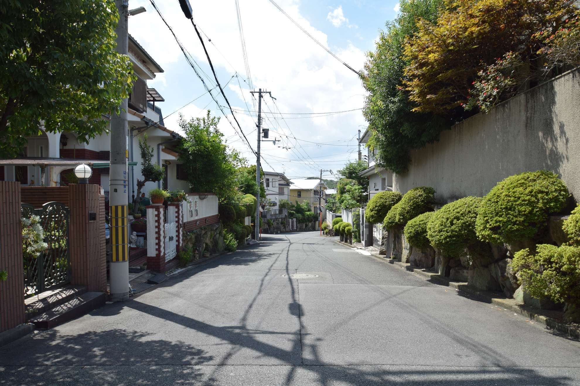 周辺には坂道がありますが、勾配は比較的緩やかで、自転車での移動も可能。