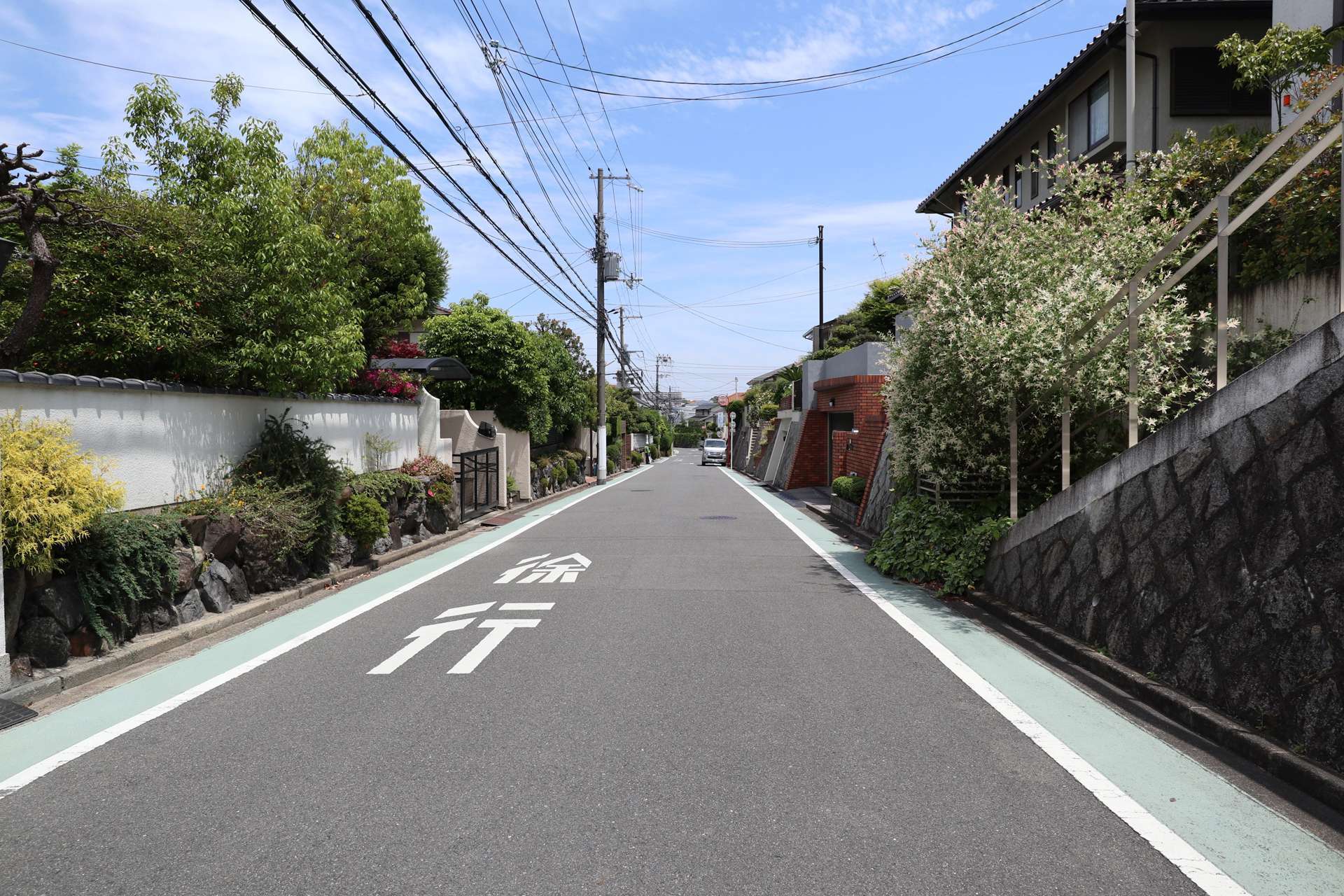 生垣や植栽のある家が多いです。