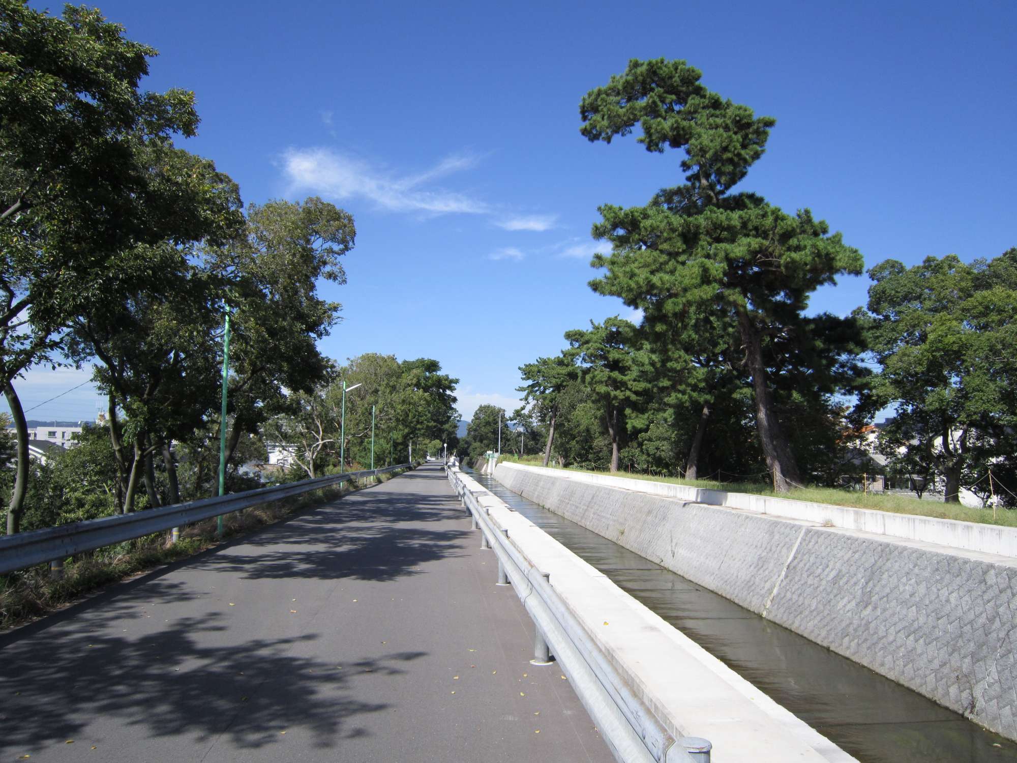 町の東端を高川が流れています。川沿いには木々が並んでいます。