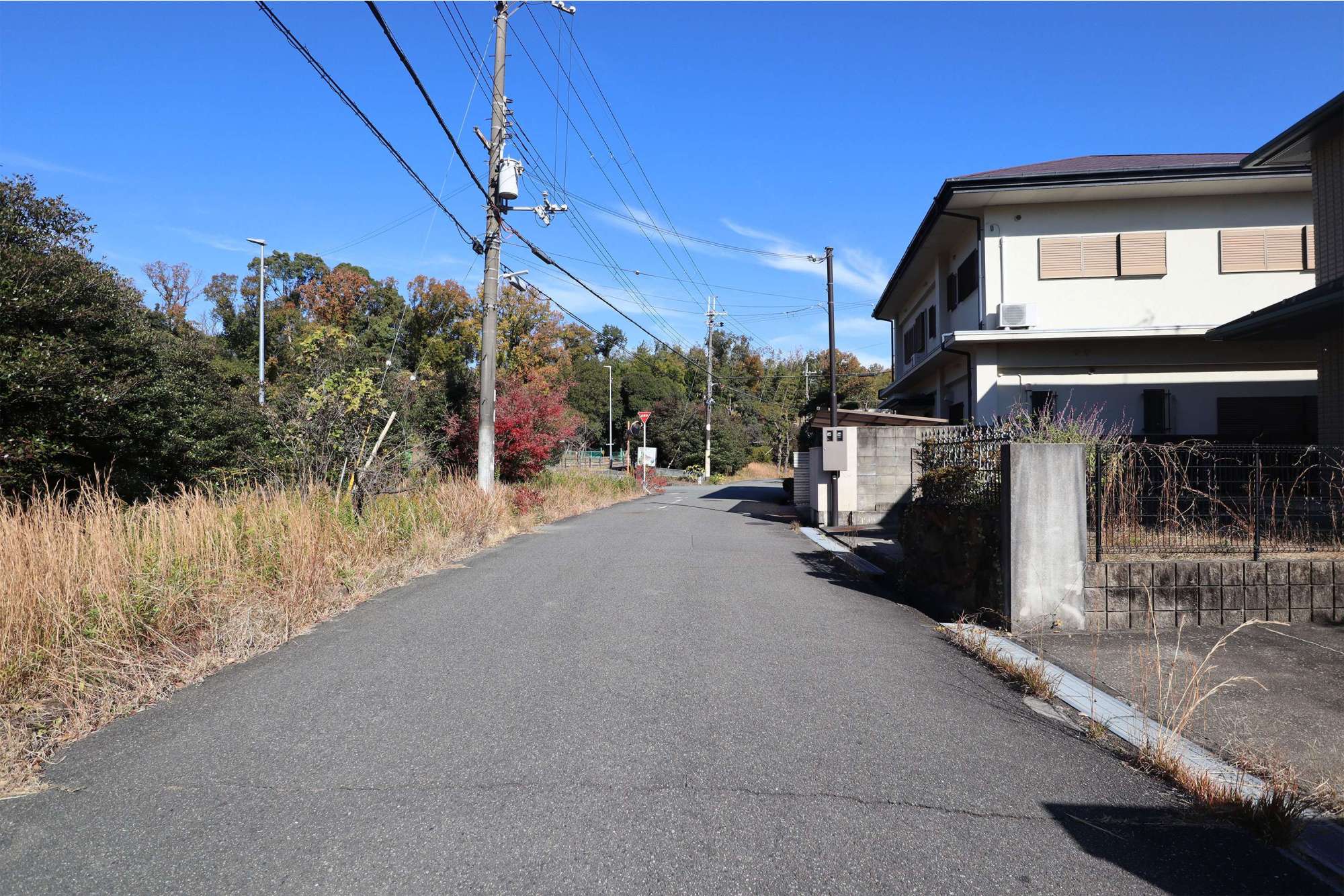 町の西側には自然林が広がり、緑豊かです。