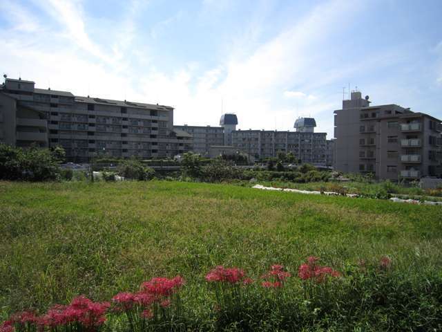 近年の住宅開発でマンションが多く見られますが、現在でも自然が多く残っています。