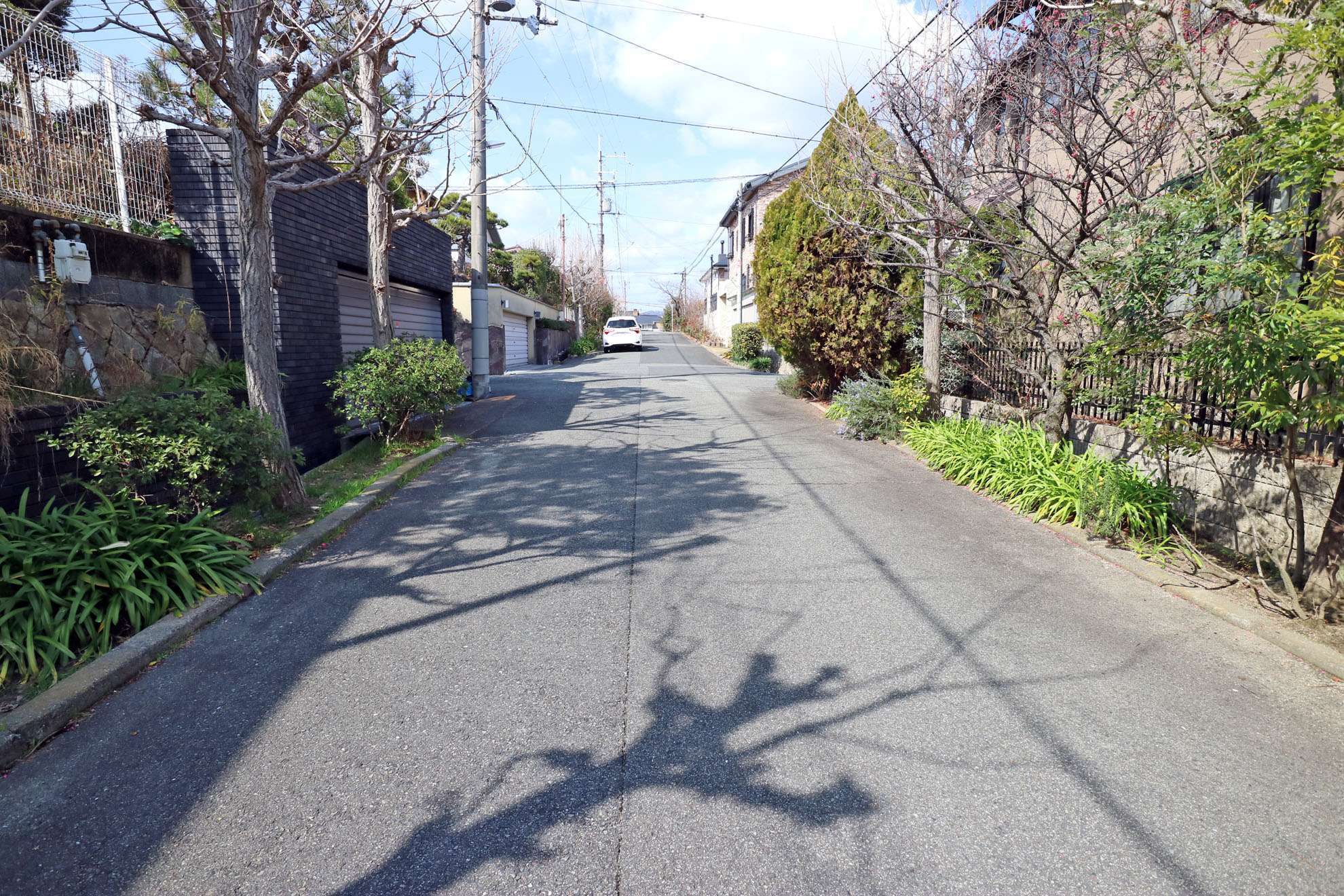 一戸建てが整然と並んでいます。