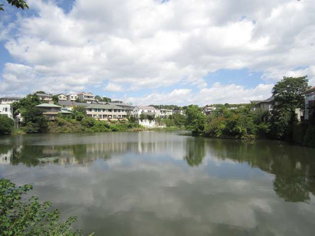 町の南部には三ツ池が広がっています。池辺にも家屋が建っており、室内から池を見渡すこともできます。