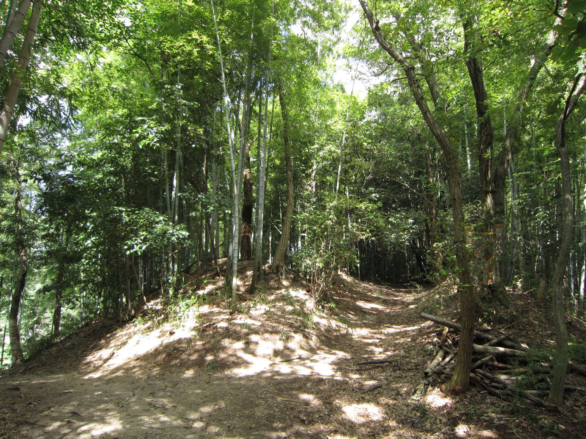 町の東端を千里緑地が南北に通っています。緑地の中を通って、新千里南町に行くこともできます。