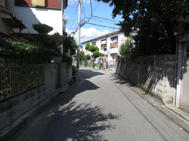 両側には高い塀に囲まれた生垣や植栽のある家があります。