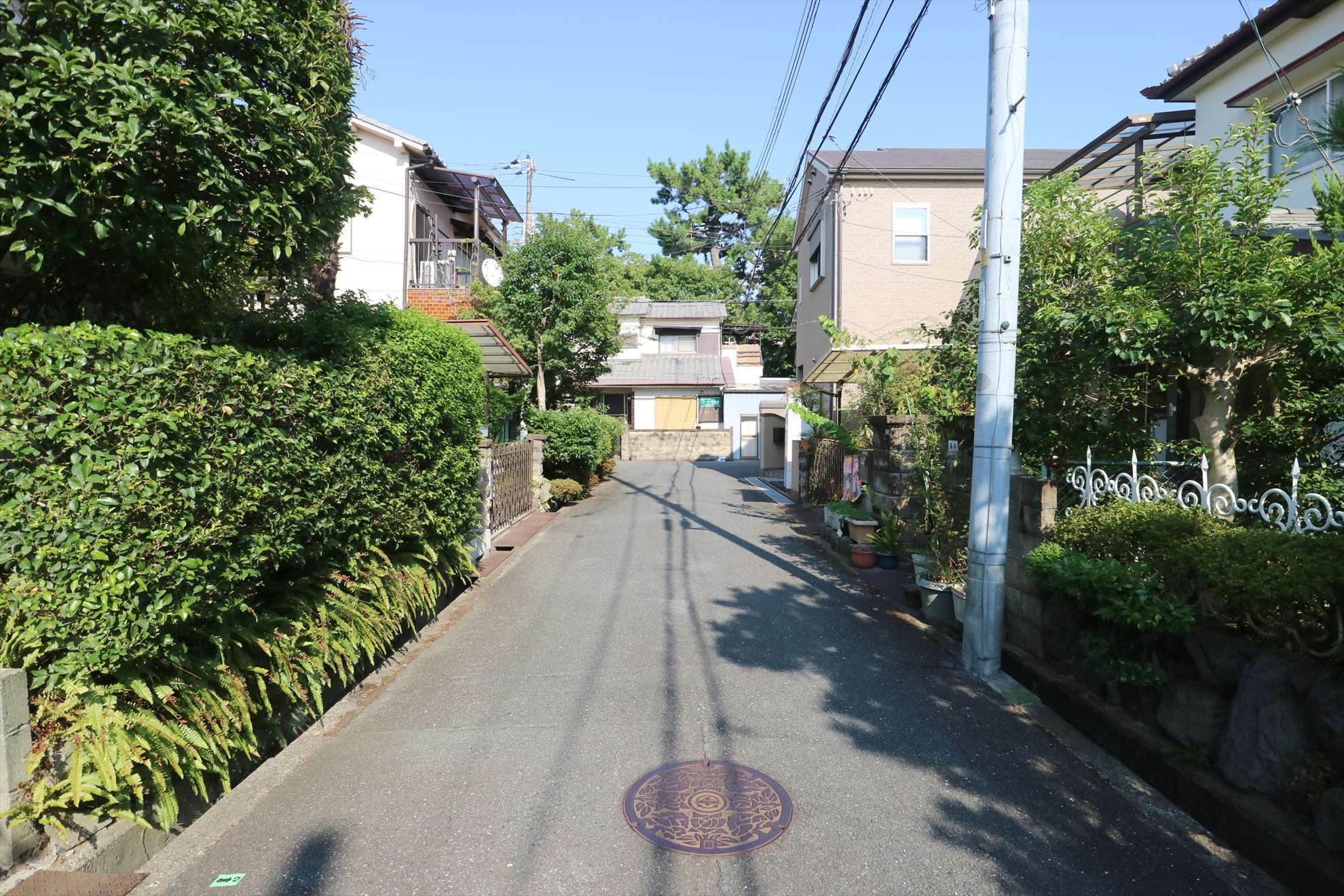 生垣や植栽のある家が多く並んでいます。