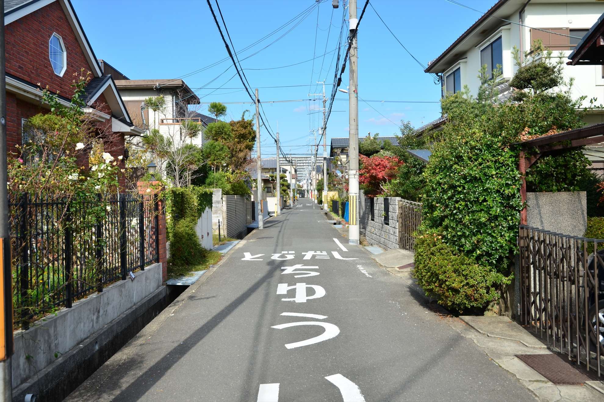 道幅が狭い街路が多いですが、家屋には生垣や植栽が見られます。