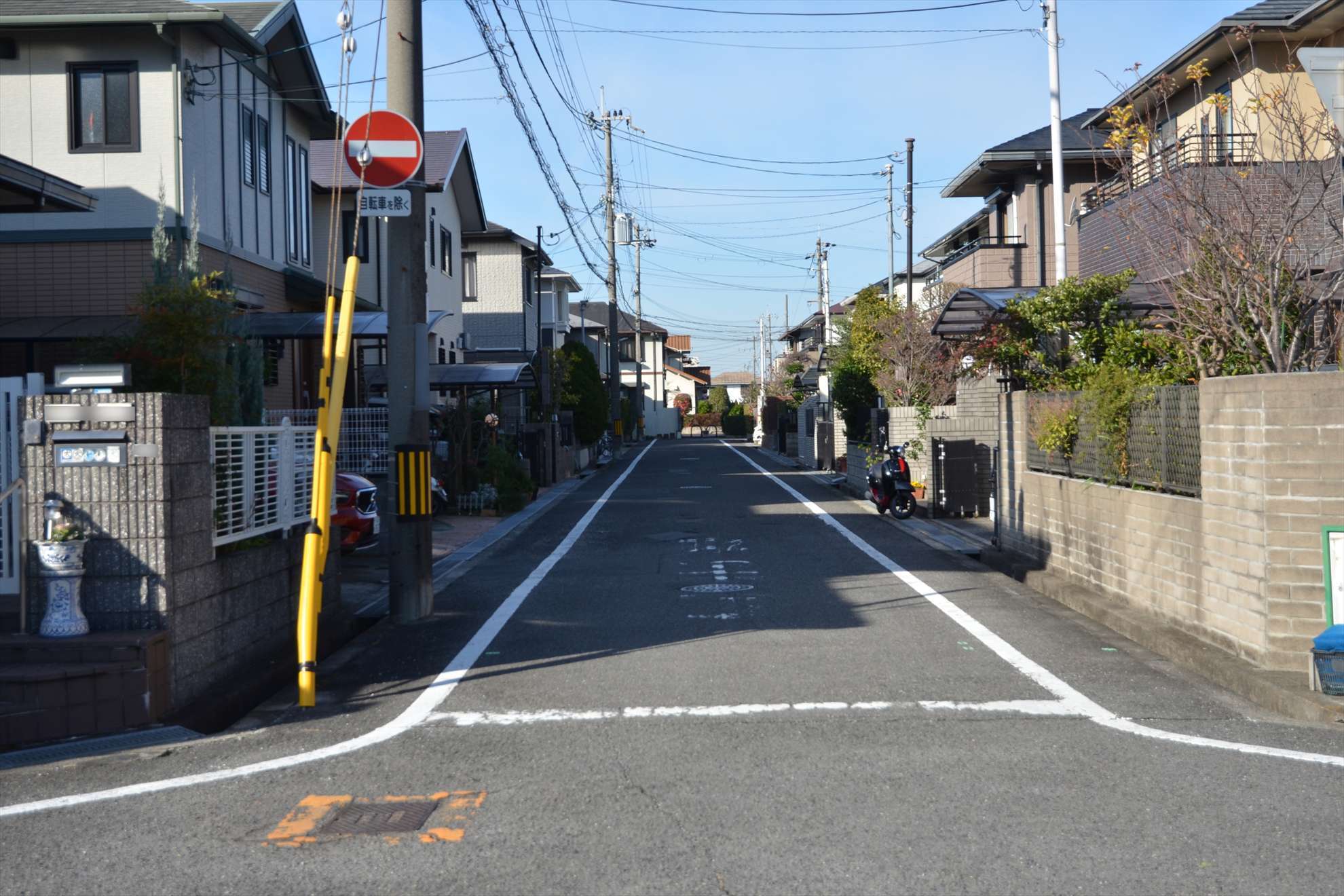 道幅は狭いですが、生垣や植栽のある家が多いです。