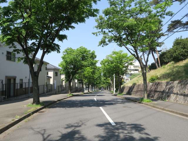 町の北側は一戸建てが中心に並ぶエリアです。