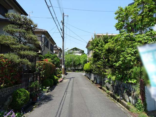 町の北部を南方向から見た景色。生垣や植栽のある家屋が中心です。