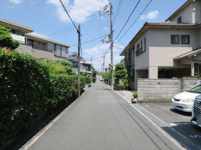 町の北部を南西方向から見た景色。道幅の狭い街路沿いに一戸建てが並んでいます。
