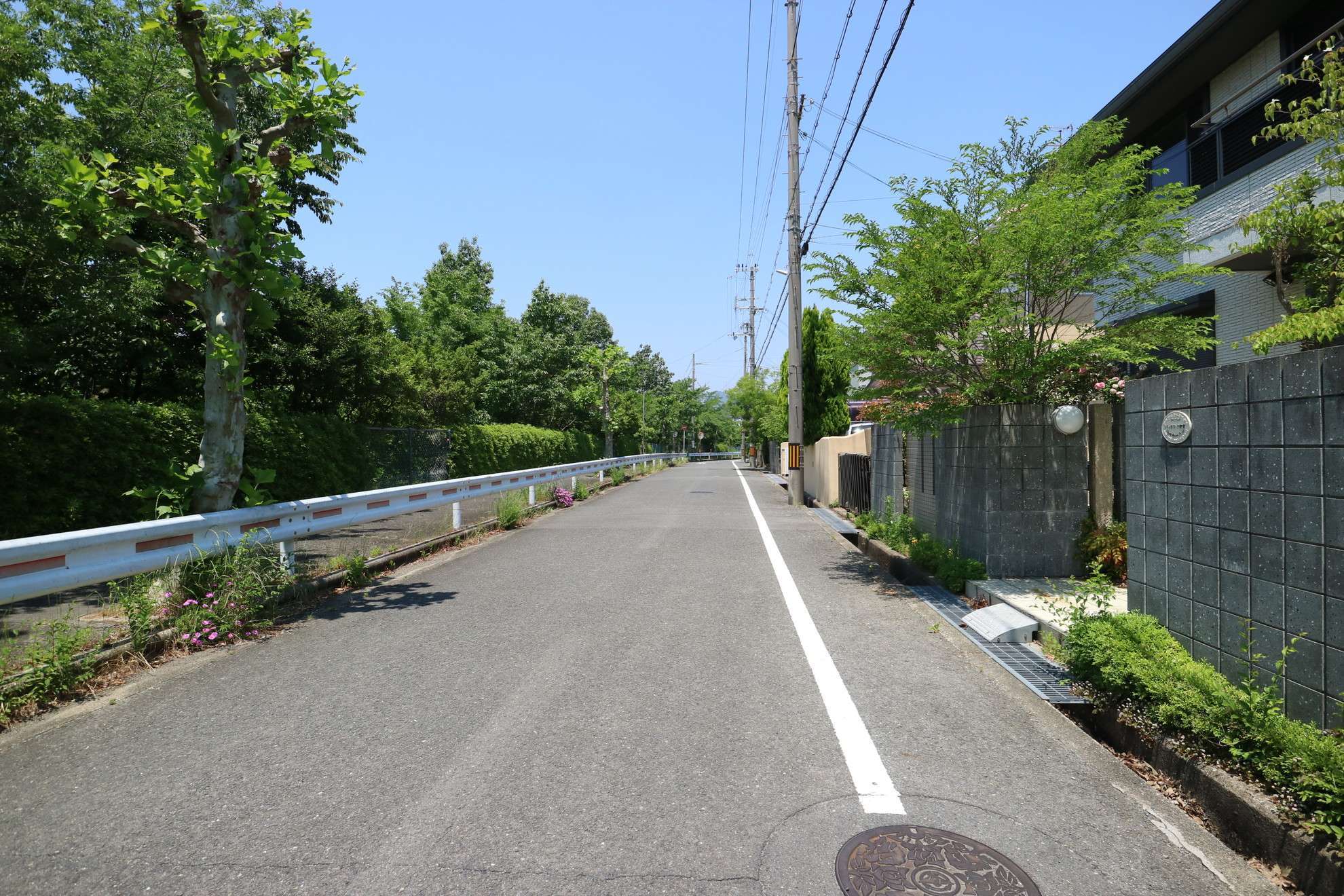 町の中央部を南東方向から見た景色。住宅地の周囲には山林が広がっています。