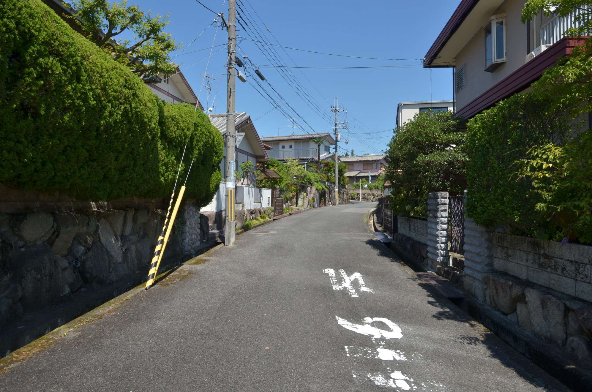 町中でも緑を身近に感じます。