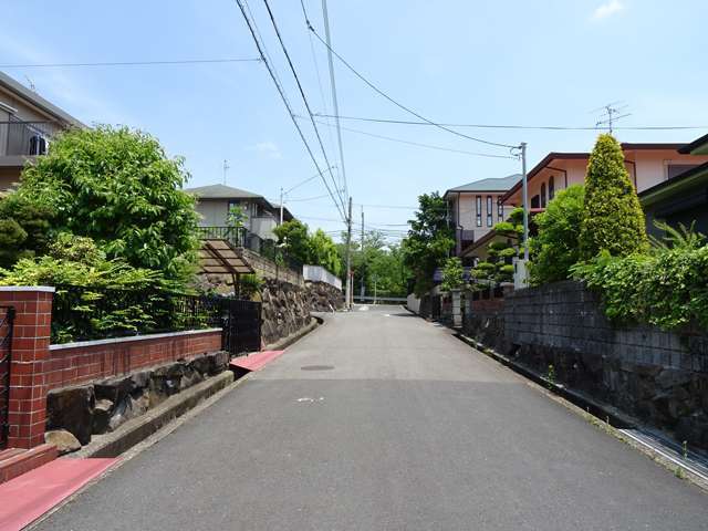 町の南東部を西方向から見た景色。生垣や植栽のある家が多いです。