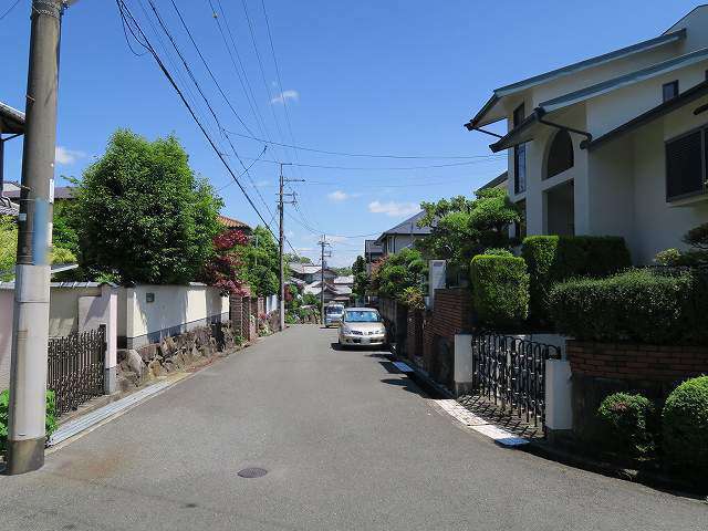 町の北東部を北西方向から見た景色。敷地の広い一戸建てが並んでいます。