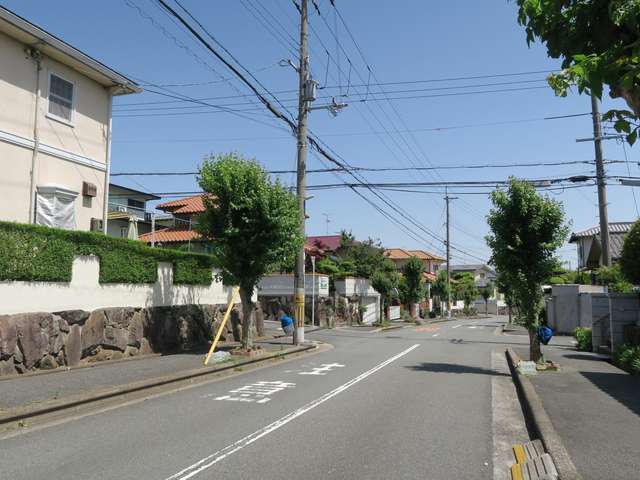 町の中央部を南北に通る主要道路。両端に歩道や街路樹が整備されています。