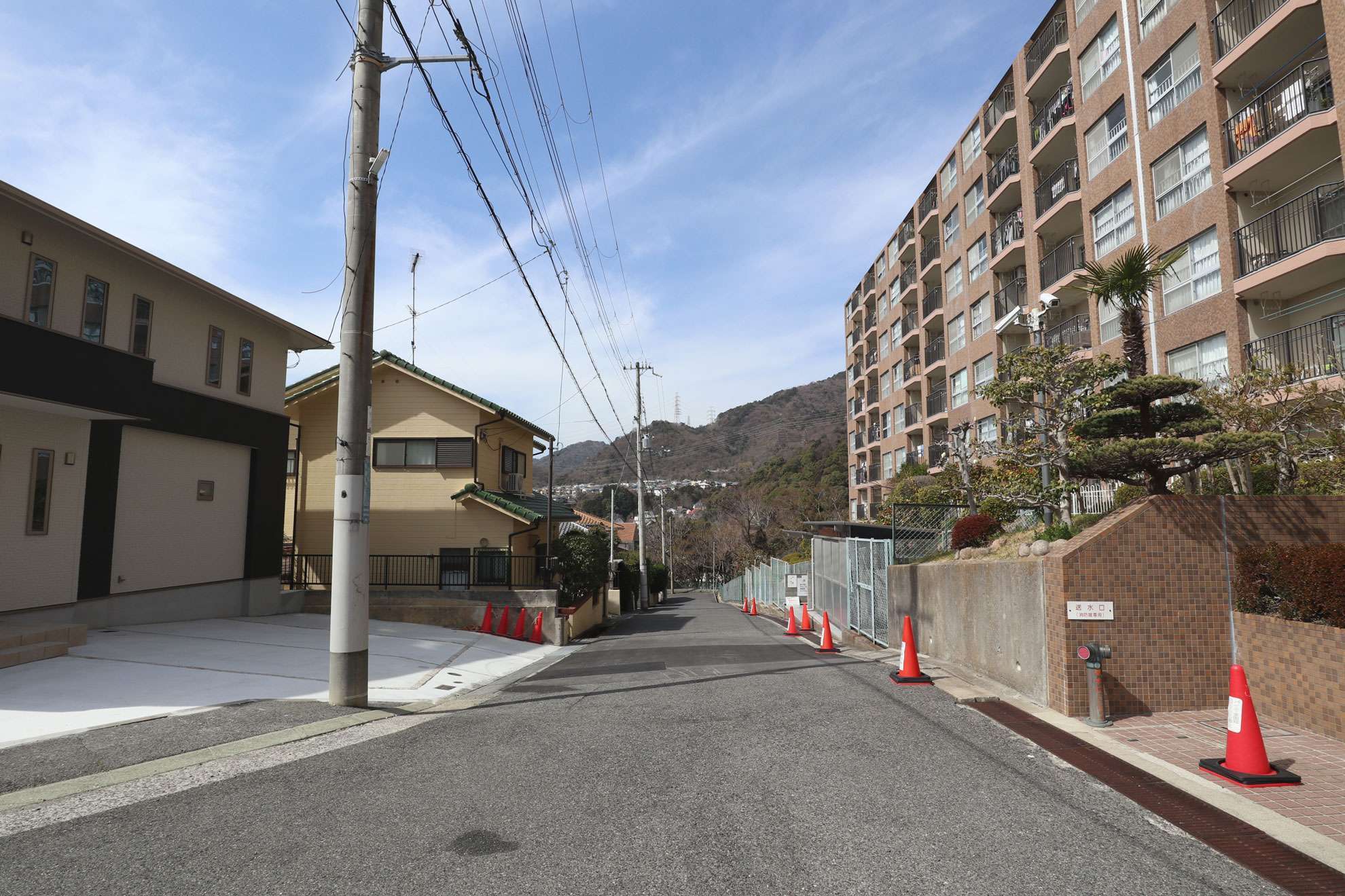 周囲を自然林に囲まれ、緑豊かな住環境。