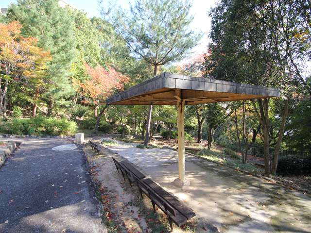 『住吉台公園』。階段の多い公園ですが、自然豊かで、四季を通じて新緑や紅葉などさまざまな森の表情を楽しめます。