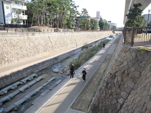町の少し東側に流れる住吉川。生活排水がほとんど入らないので、水がきれいで、安心して水遊びが楽しめます。