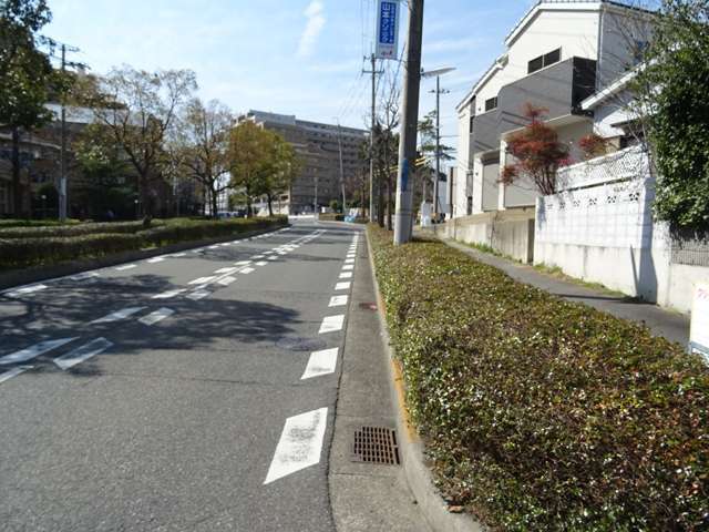街路樹が植えられ、緑豊かな街並みです。