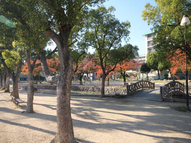 『宝島池公園』は、東灘区の東の端っこ、『深江北町1丁目』の住宅地の中にある公園です。阪神「芦屋」駅からだと、徒歩5分ぐらいの場所にあります。公園内の半分は池になっていて、季節になると睡蓮の白い花が見事です。砂場やジャングルジムなどの遊具が設置され、広場もあるので、子供の遊び場にもピッタリのスペースです。(2018.06.14時点)