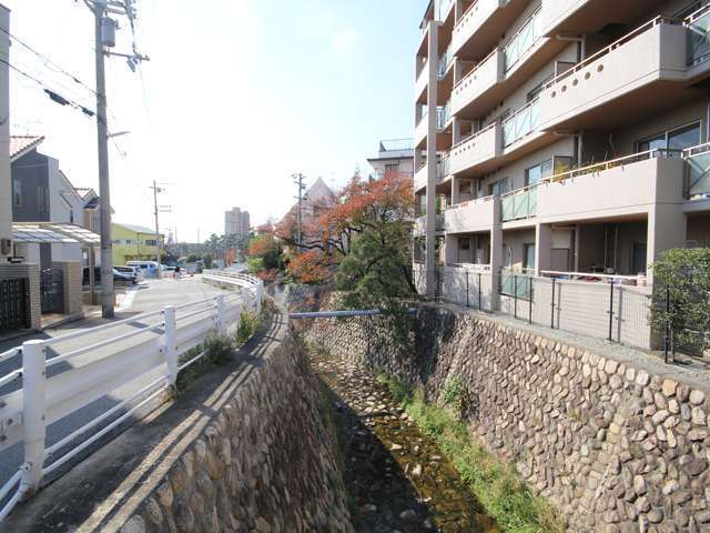 石屋川の上流。六甲山を源流とする川は、水がきれいで、様々な生き物を見つけることが出来ます。