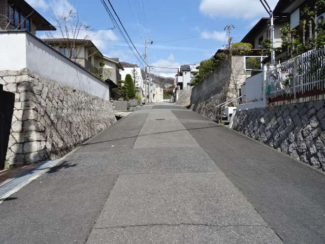 生垣や植栽が手入れされた住宅が多く、緑の潤いを感じられます。