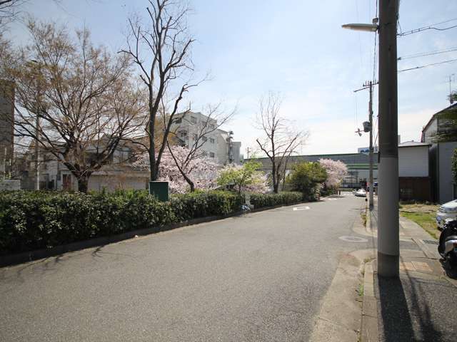 町の北側にある、西郷川沿いの桜並木。西郷川は、上流では青谷川と名前を変えます。