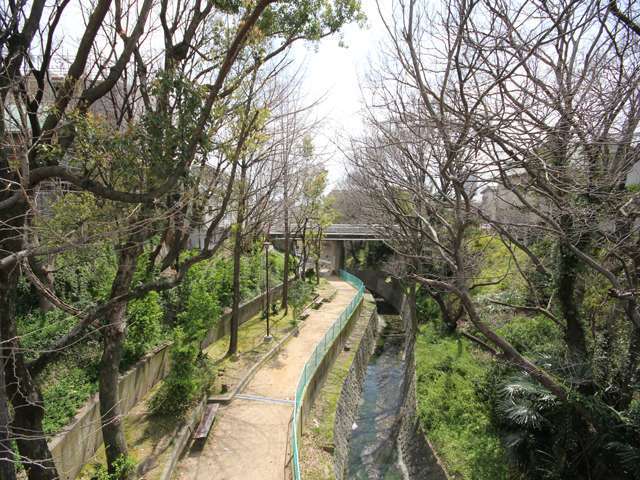 高羽川。阪急神戸線付近では、川沿いに木々が茂り、遊歩道が整備されています。