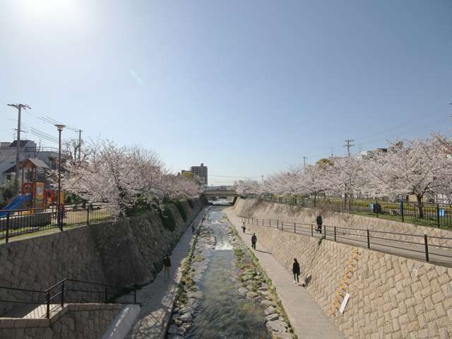 『都賀川公園』は、各所に遊具や広場がある他、石畳の遊歩道や飛び石もあり、お散歩コース、ランニングコースにも最適な場所。