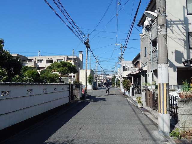 町の東部を南方向から見た景色。一戸建てやマンションなどが混在しています。