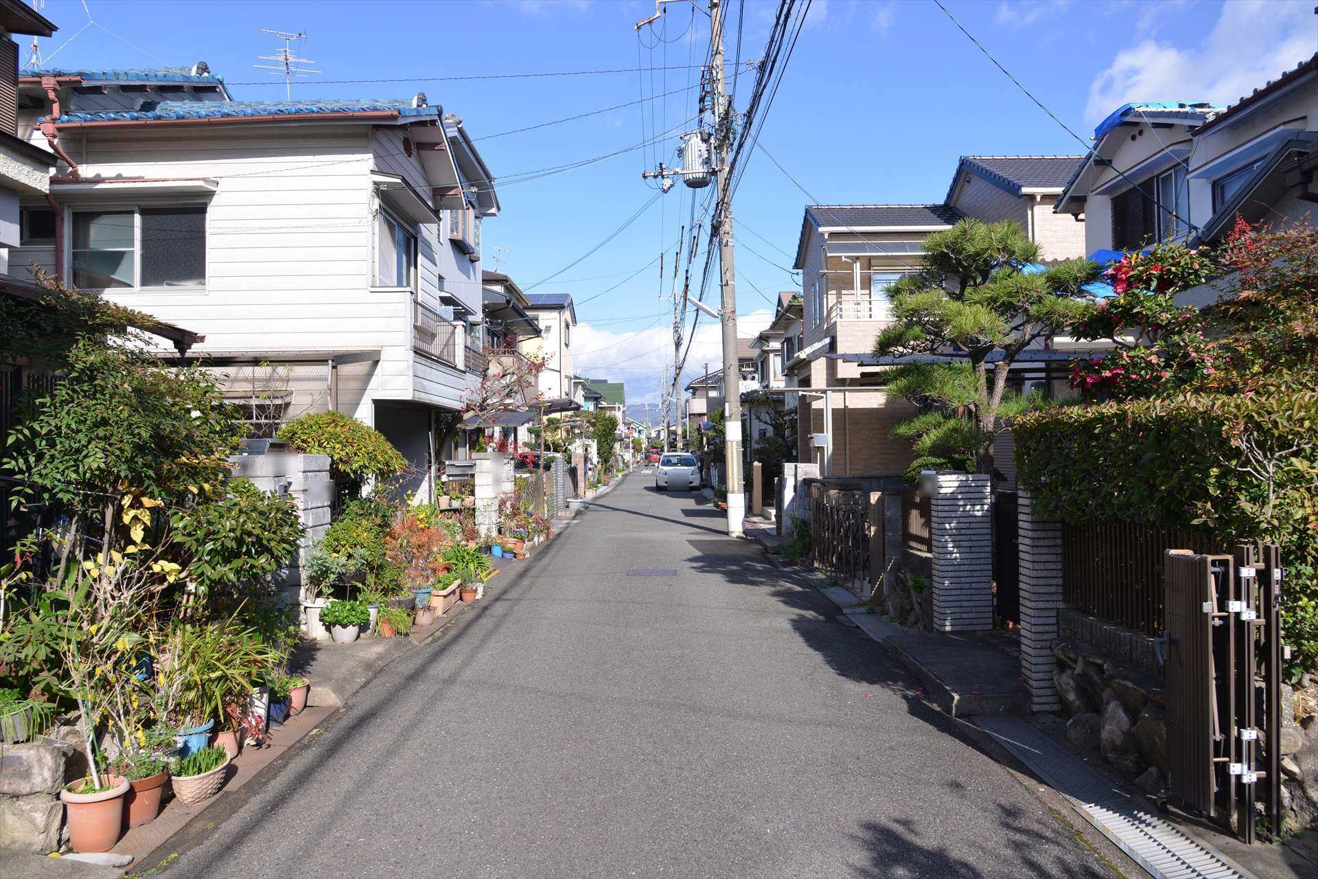 町の東部を南方向から見た景色。生垣や植栽のある一戸建てが多く並んでいます。