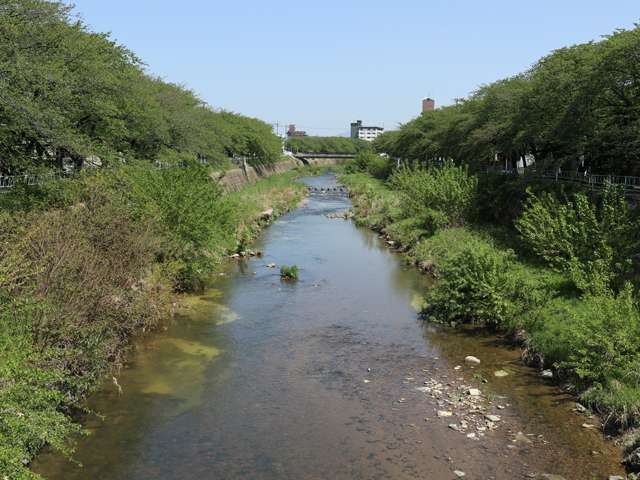 東西に流れる香流川(かなれがわ)。川沿いは緑道やサイクリングロードになっています。