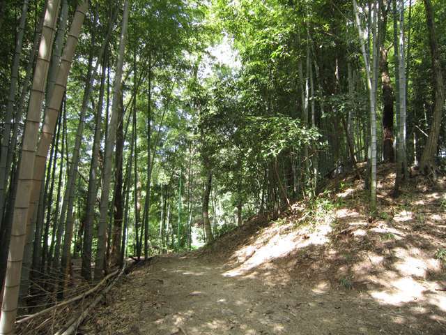 豊中市新千里南町2丁目