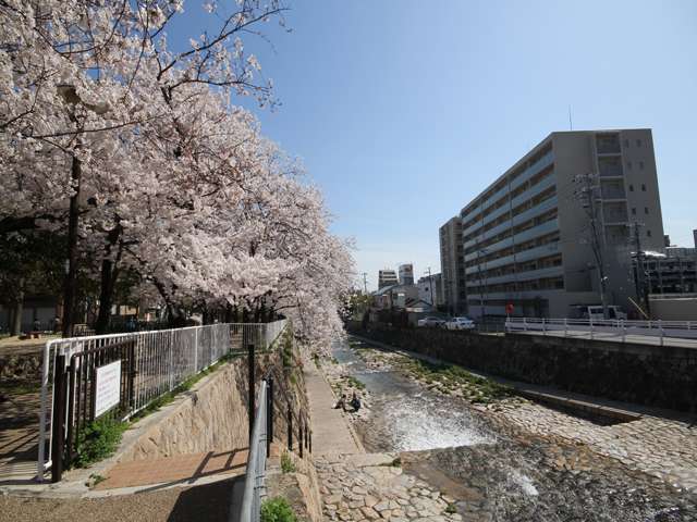 神戸市灘区篠原南町6丁目