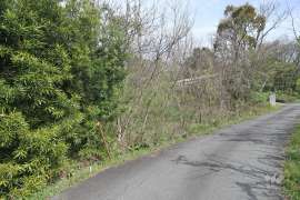 春日井市大泉寺町字大池下 土地