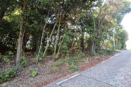 名古屋市守山区翠松園3丁目 土地