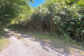 日進市折戸町高松 土地