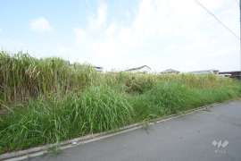 名古屋市中川区富田町大字千音寺字一本松 土地