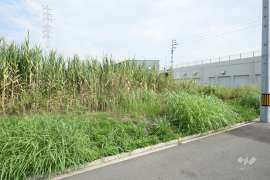 名古屋市中川区富田町大字千音寺字平毛 土地