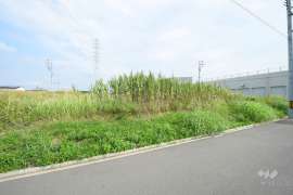 名古屋市中川区富田町大字千音寺字平毛 土地