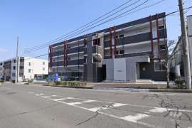 クイール諸の木