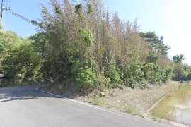 大府市桜木町4丁目 土地