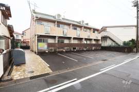 タウニーエコー