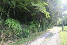 春日井市上野町 土地