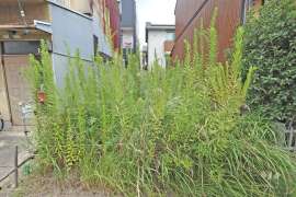 名古屋市瑞穂区春敲町2丁目 土地