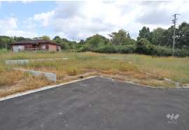 名古屋市守山区大字中志段味字吉田洞 土地